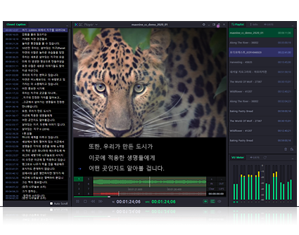 QC 플레이어 QC Player